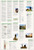 Arches National Park (National Geographic Trails Illustrated Map)