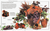 The Complete Guide to Flower Arranging (DK Living) The Complete Guide to Flower Arranging (DK Living)