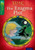 Oxford Reading Tree Treetops Time Chronicles: Level 12: The Enigma Plot