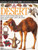Desert (Eyewitness Guides)
