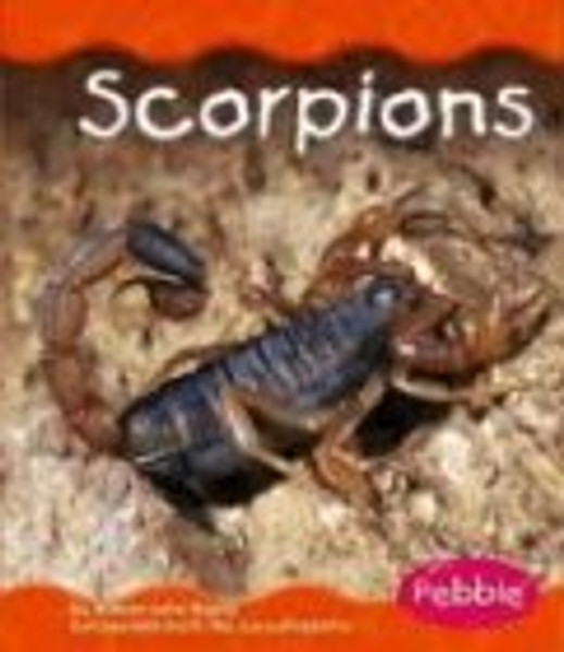 Scorpions (Desert Animals)