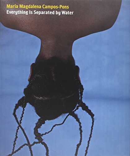 Mara Magdalena Campos-Pons: Everything Is Separated by Water (Indianapolis Museum of Art)