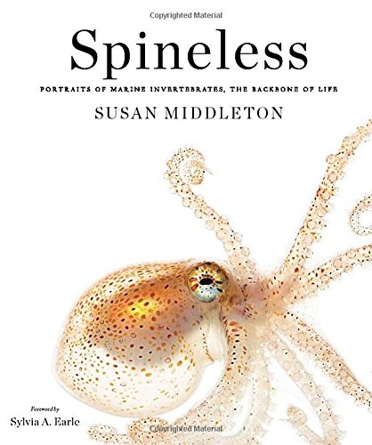 Spineless: Portraits of Marine Invertebrates, the Backbone of Life