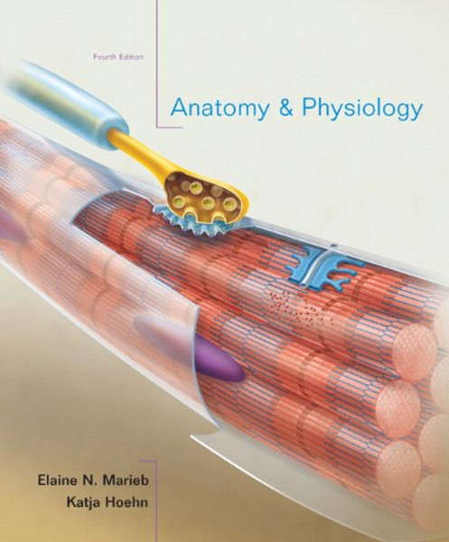 Anatomy & Physiology, 4th Edition