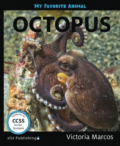 Octopus (My Favorite Animal) (Volume 1)