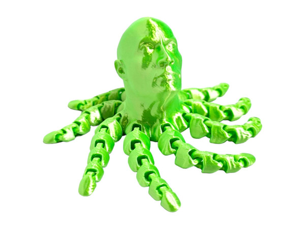 3D Printed Rocktopus, The Rock, Articulated Fidget, Octopus, Stress Relief Toy, Fidget Box, ADHD Toy, Anxiety Relief Aid (Silk Green)