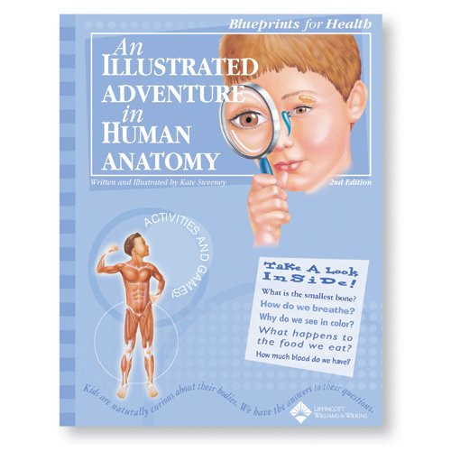 An Illustrated Adventure in Human Anatomy