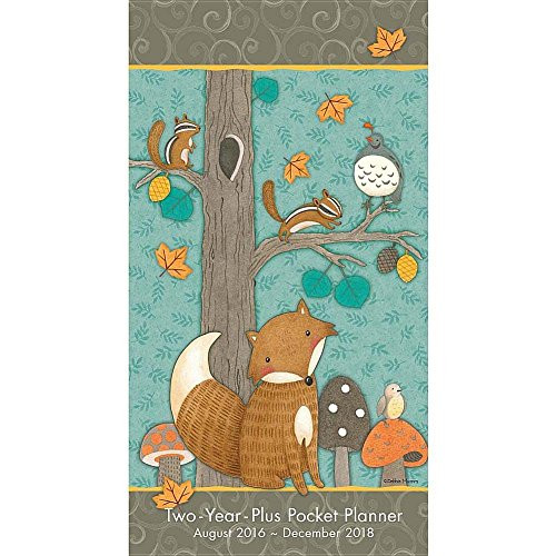 Fox by Debbie Mumm 2017 Checkbook/2 year pocket planner Calendar