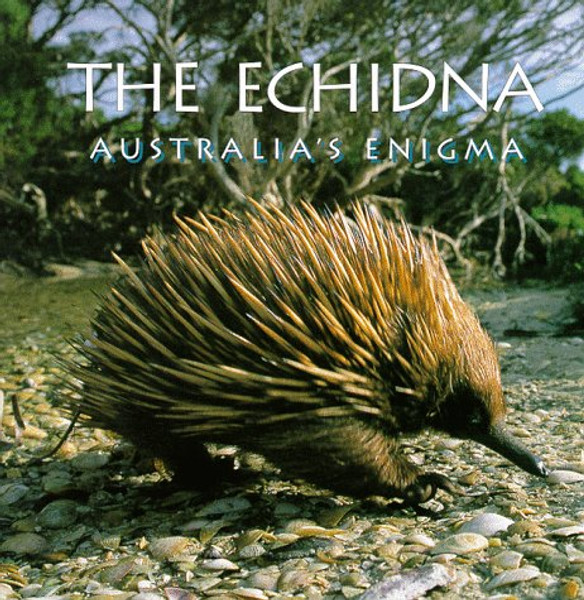 Echidna