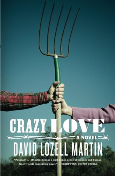 Crazy Love: A Novel