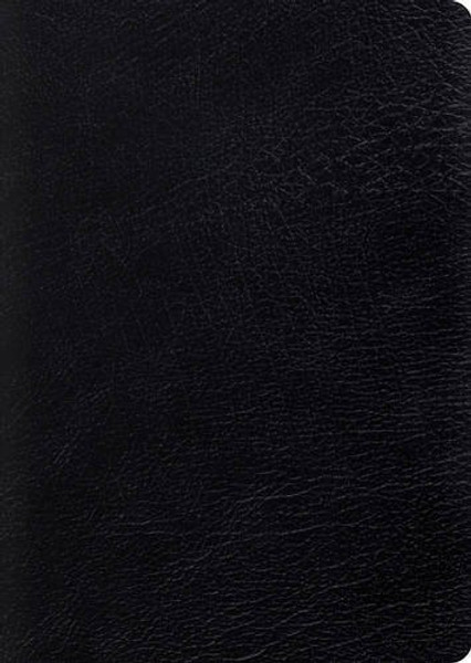 ESV Study Bible, Large Print (Black) ESV Study Bible, Large Print (Black)