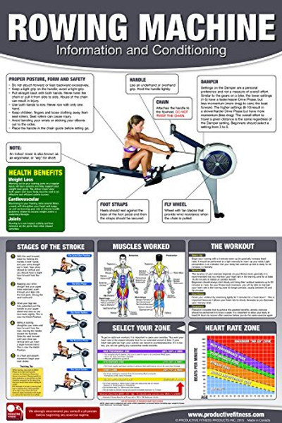 Rowing Machine Poster/Chart: How to use a rower - How to use an Erg - Full Body Workout Laminated - 24x36 inches
