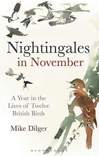 Nightingales in November: A Year in the Lives of Twelve British Birds