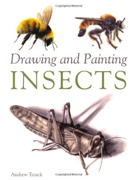 Drawing and Painting Insects