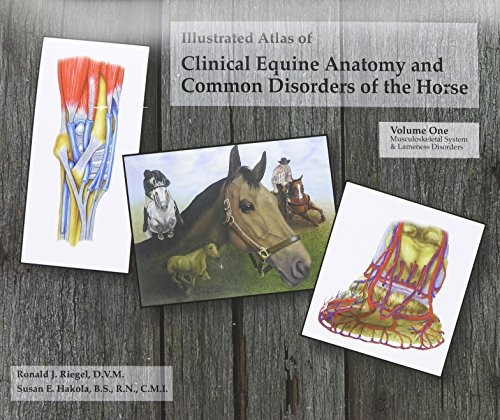Illustrated Atlas of Clinical Equine Anatomy and Common Disorders of the Horse (Vol 1)