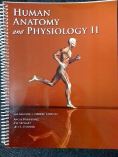 Human Anatomy and Physiology II Lab Manual (4th Edition) Broward College