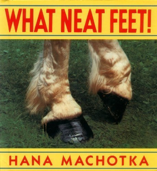 What Neat Feet!