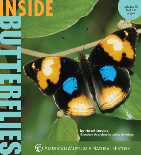Inside Butterflies (Inside Series)
