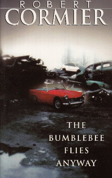 Bumblebee Flies Anyway
