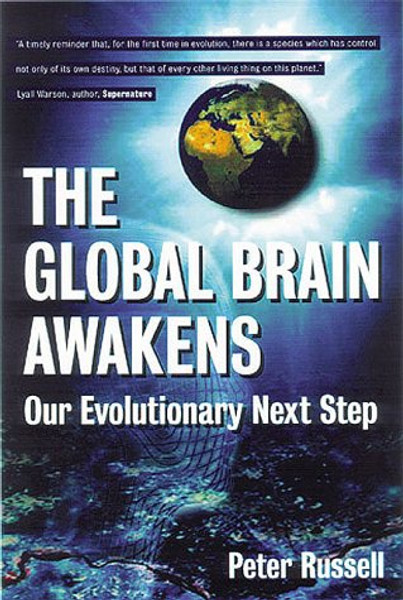 The Global Brain Awakens: Our Next Evolutionary Leap