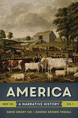 America: A Narrative History (Brief Tenth Edition)  (Vol. 1)