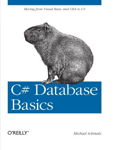 C# Database Basics: Moving from Visual Basic and VBA to C#