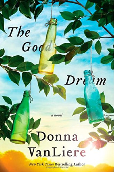 The Good Dream: A Novel
