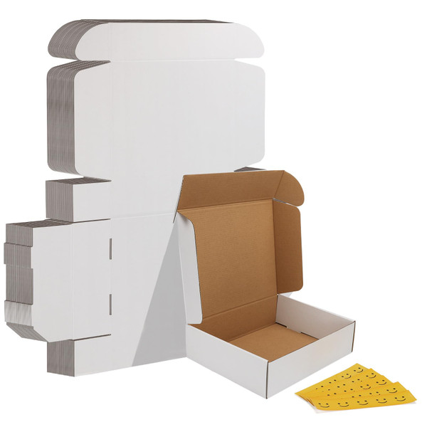 HORLIMER 11x9x3 inches Shipping Boxes Set of 25, White Corrugated Cardboard Box Literature Mailer