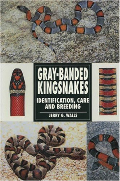 Gray-Banded Kingsnakes: Identification, Care and Breeding (Herpetology series)