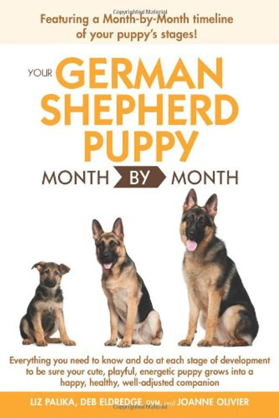 Your German Shepherd Puppy Month By Month