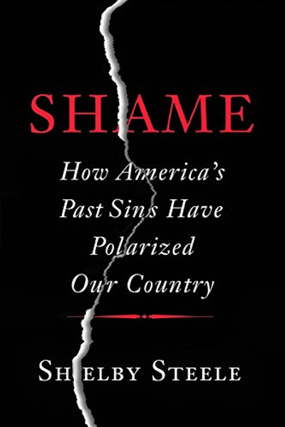 Shame: How America's Past Sins Have Polarized Our Country