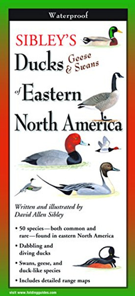 Sibley's Ducks, Geese, and Swans of Eastern North America (Foldingguides)