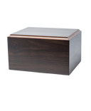 Simplicity, Large/Adult