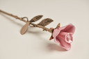 Pink Rose Keepsake