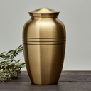 Classic Bronze, Large/Adult