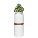 White Vega Vase Urn with Dark Wood, Medium