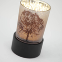 Illuminate Tree of Life Keepsake
