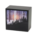 Monumental Memorials Forest Snow Fall, Large/Adult