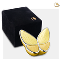 Yellow Butterfly Wings, Keepsake