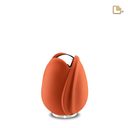 Orange Tulip, Keepsake