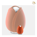 Orange Tulip, Keepsake