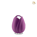 Purple Tulip, Keepsake