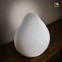 Soulful Shell White, Large/Adult