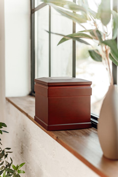 Mahogany Cube, Large/Adult
