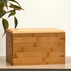 Bamboo Box, Large/Adult