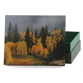 Voyager Biodegradable - Misty Autumn, Large/Adult