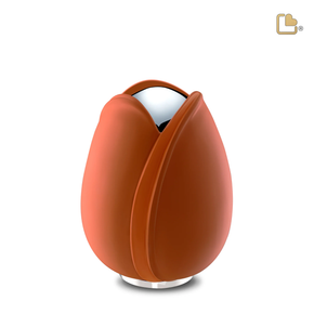 Orange Tulip, Medium