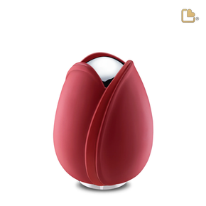 Red Tulip, Medium