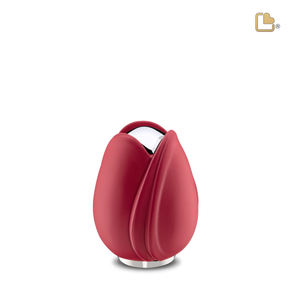 Red Tulip, Keepsake