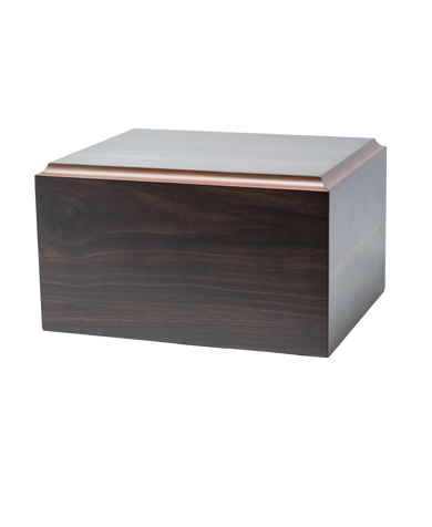 Simplicity, Large/Adult